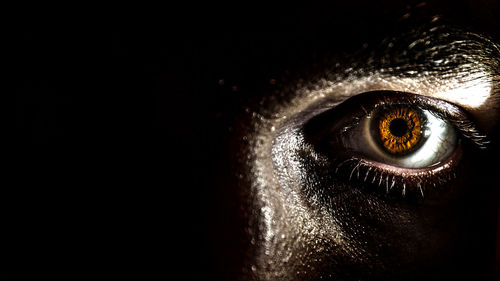 Close-up of human eye against black background