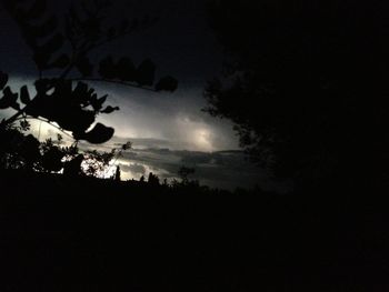 Silhouette of trees against sky at night