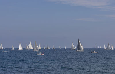 Sailboats sailing in sea against sky