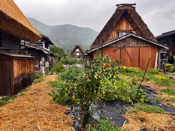 Countryside charm in shirakawa go, japan