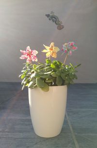 Close-up of flowers on table