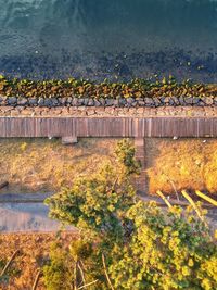 High angle view of plants growing by lake