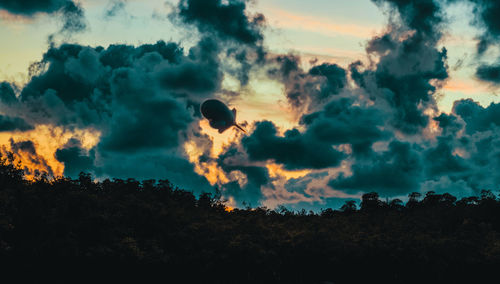 Silhouette trees against sky during sunset