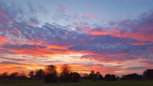 Silhouette trees on field against dramatic sky during sunset