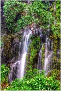 Waterfall in forest