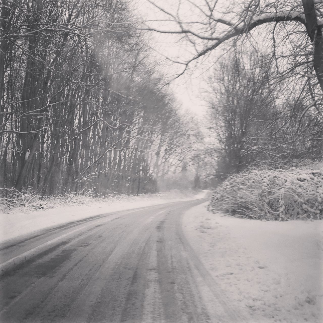 ROAD AMIDST BARE TREES IN WINTER