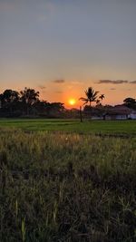 Scenic view of field against sky during sunset