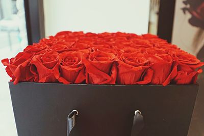 Close up of red rose in box