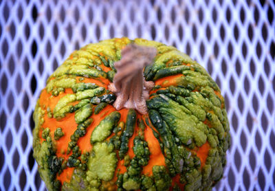 Directly above shot of pumpkins