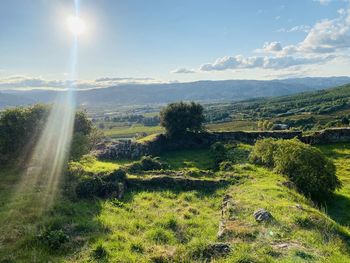 Scenic view of landscape against sky