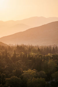 Scenic view of mountains and trees against sky during sunset