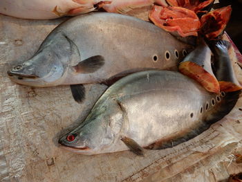 High angle view of fish for sale in paxse central market in southern laos.