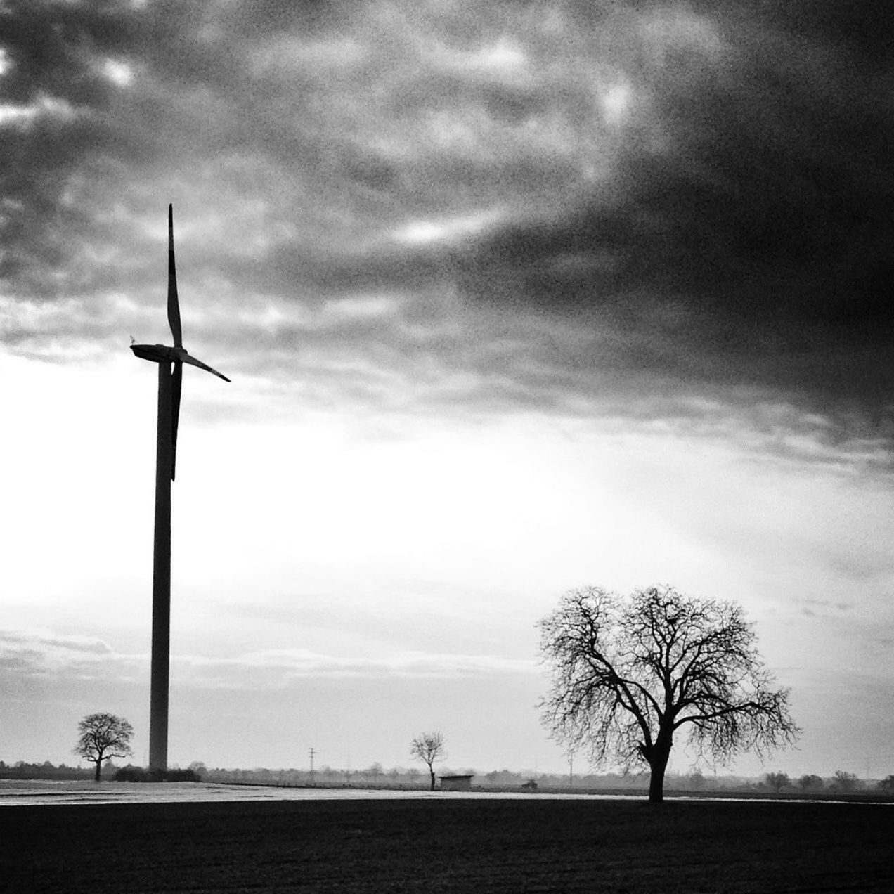 sky, tree, cloud - sky, tranquility, field, cloudy, bare tree, tranquil scene, landscape, nature, scenics, wind turbine, wind power, weather, cloud, alternative energy, windmill, rural scene, beauty in nature, renewable energy