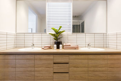 Potted plant on table at home