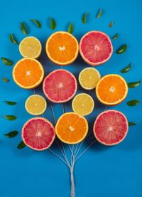 Overhead view of citrus fruits 