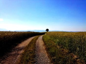 Road amidst field against clear blue sky