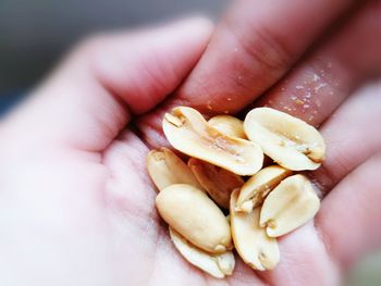 Close-up of hand holding food