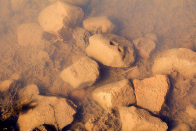 High angle view of rocks on land