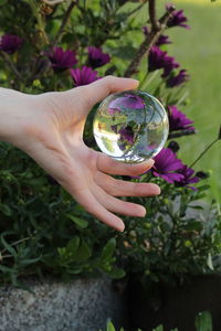 Close-up of hand holding crystal ball