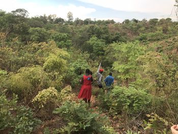 Rear view of people walking in forest