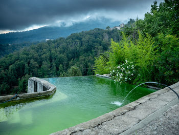 Scenic view of river amidst trees in forest against sky