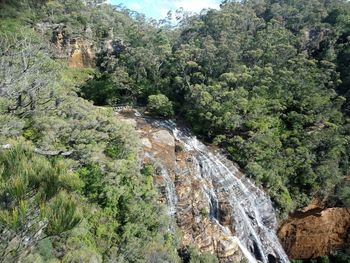 Scenic view of waterfall in forest