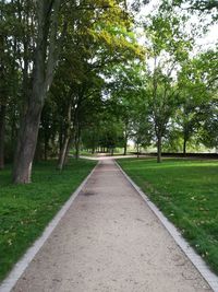 View of trees on landscape