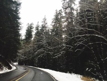 Road passing through trees