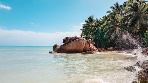 Beach landscape on tropical sandy beach, sea, summer, travel destination, exotic.