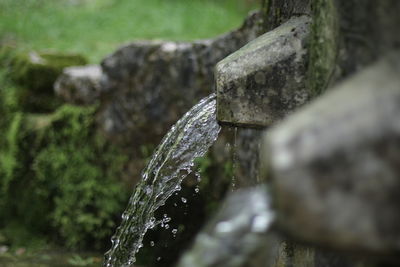 Close-up of water drops on plant