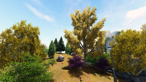 Trees and plants growing on land against sky