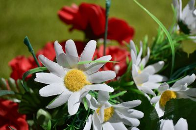 Multi colored silk flowers