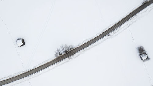 Low angle view of snow on plant against sky