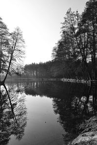 Reflection of trees in lake against sky