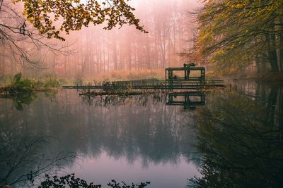 Scenic view of lake with trees reflection