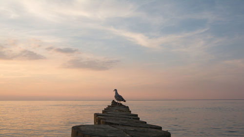 Sculpture of sea against sky during sunset