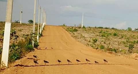 Road passing through landscape