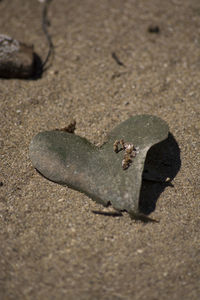 High angle view of crab on sand