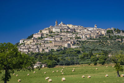 Houses on field against clear blue sky