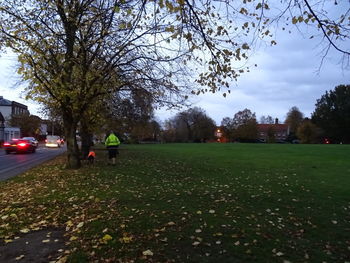 Trees in park against sky during autumn