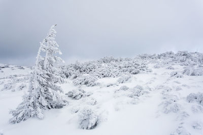 Snow covered landscape against sky