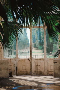 Palm trees in swimming pool