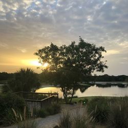 Trees by lake against sky during sunset