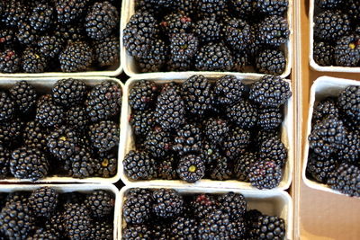 High angle view of blackberries displayed at market