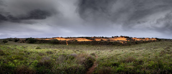 Panoramic view of field against sky