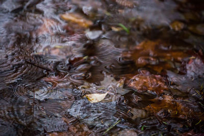 Close-up of water