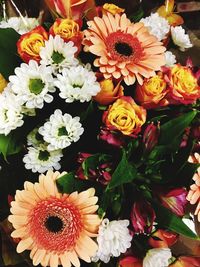 High angle view of multi colored roses