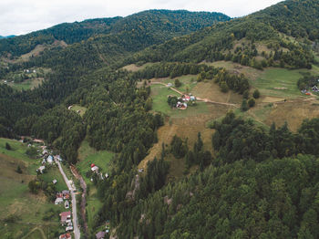 High angle view of trees on landscape