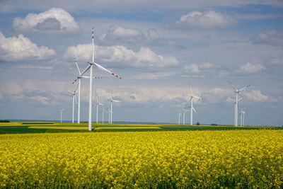 View of oilseed rape field against sky. wind power plant.