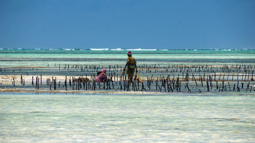 Men on shore against sea against clear sky